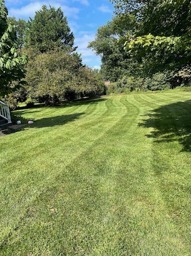 Sunlit mowed lawn with trees and a blue sky in a suburban yard