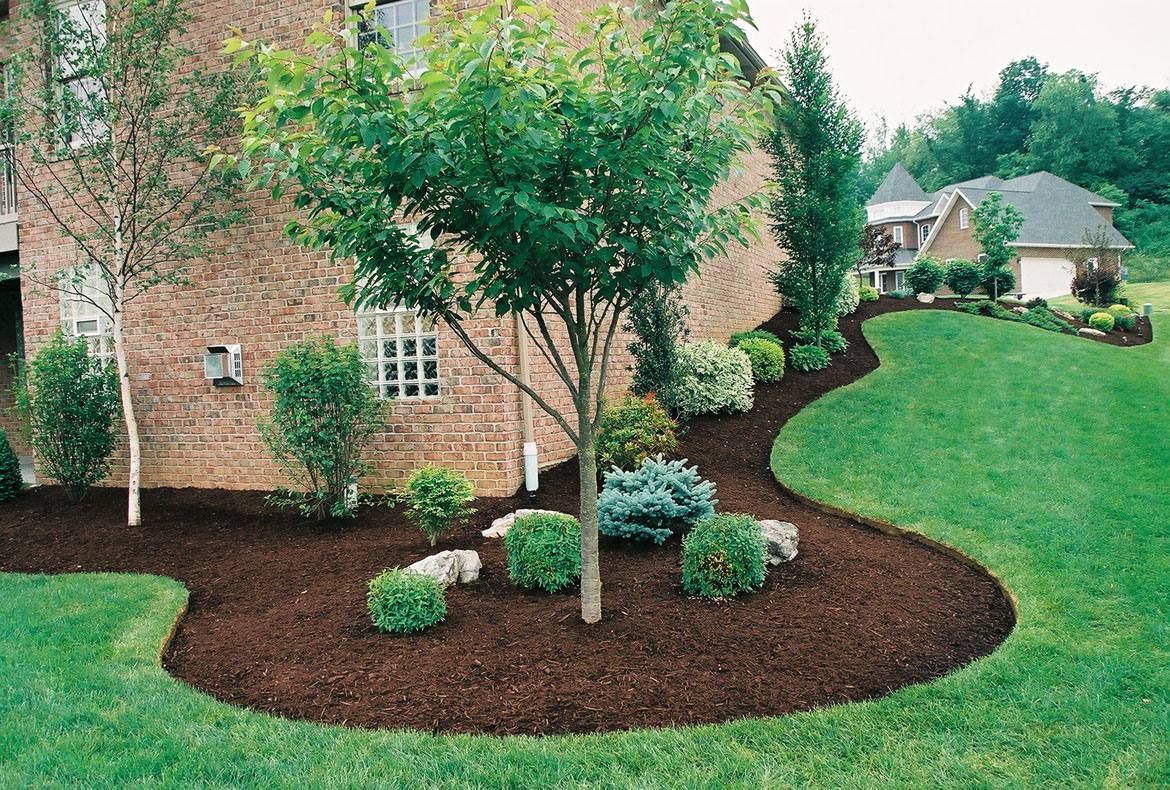 Landscaped yard with mulch, trees, shrubs, and green grass. House in the background