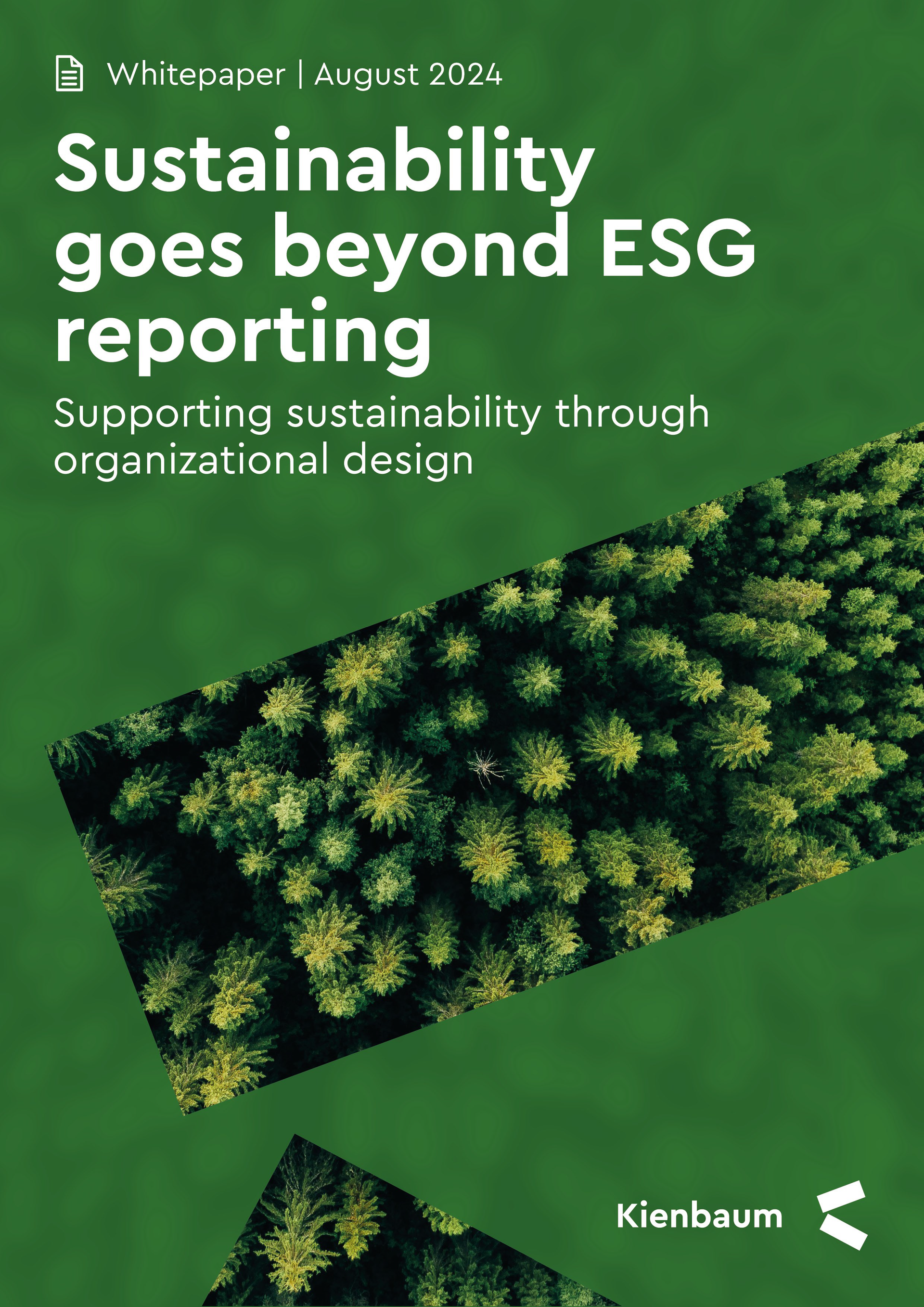 Sustainability goes beyond esg reporting supporting sustainability through organizational design