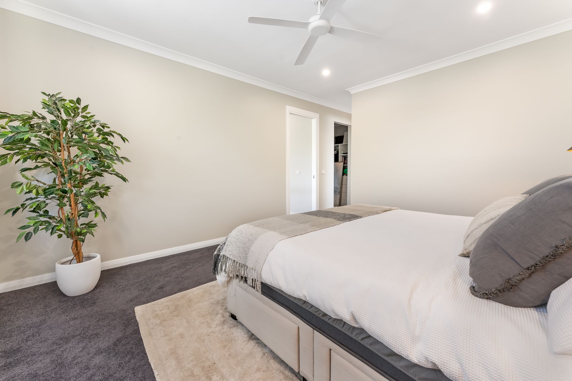 Bright Bedroom With a Bed, Gray Carpet, Potted Tree, and White Ceiling Fan — Matt Made Building in Camden, NSW