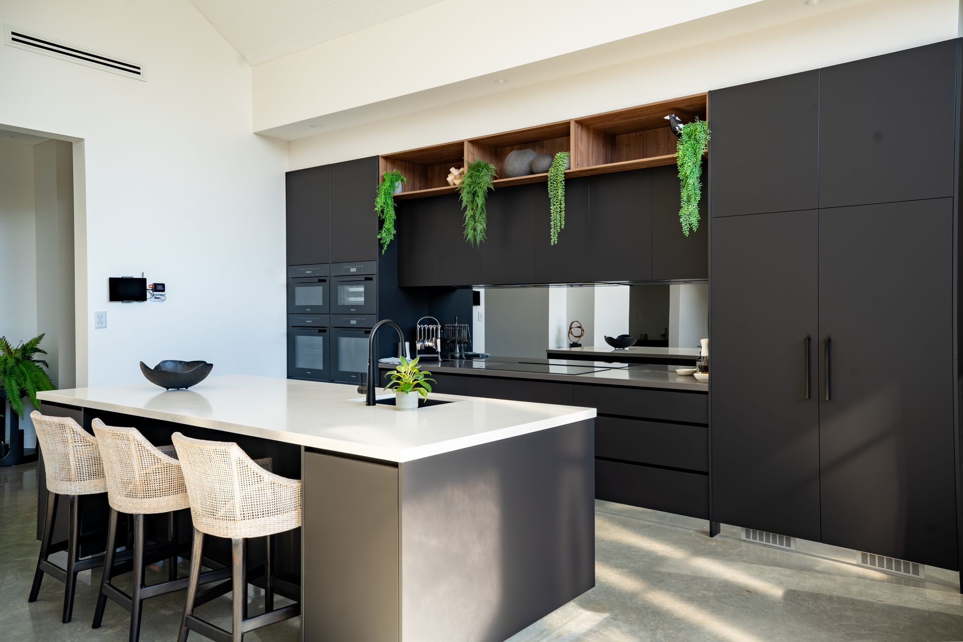 Modern Kitchen With Black Cabinetry and Hanging Greenery — Matt Made Building in Camden, NSW