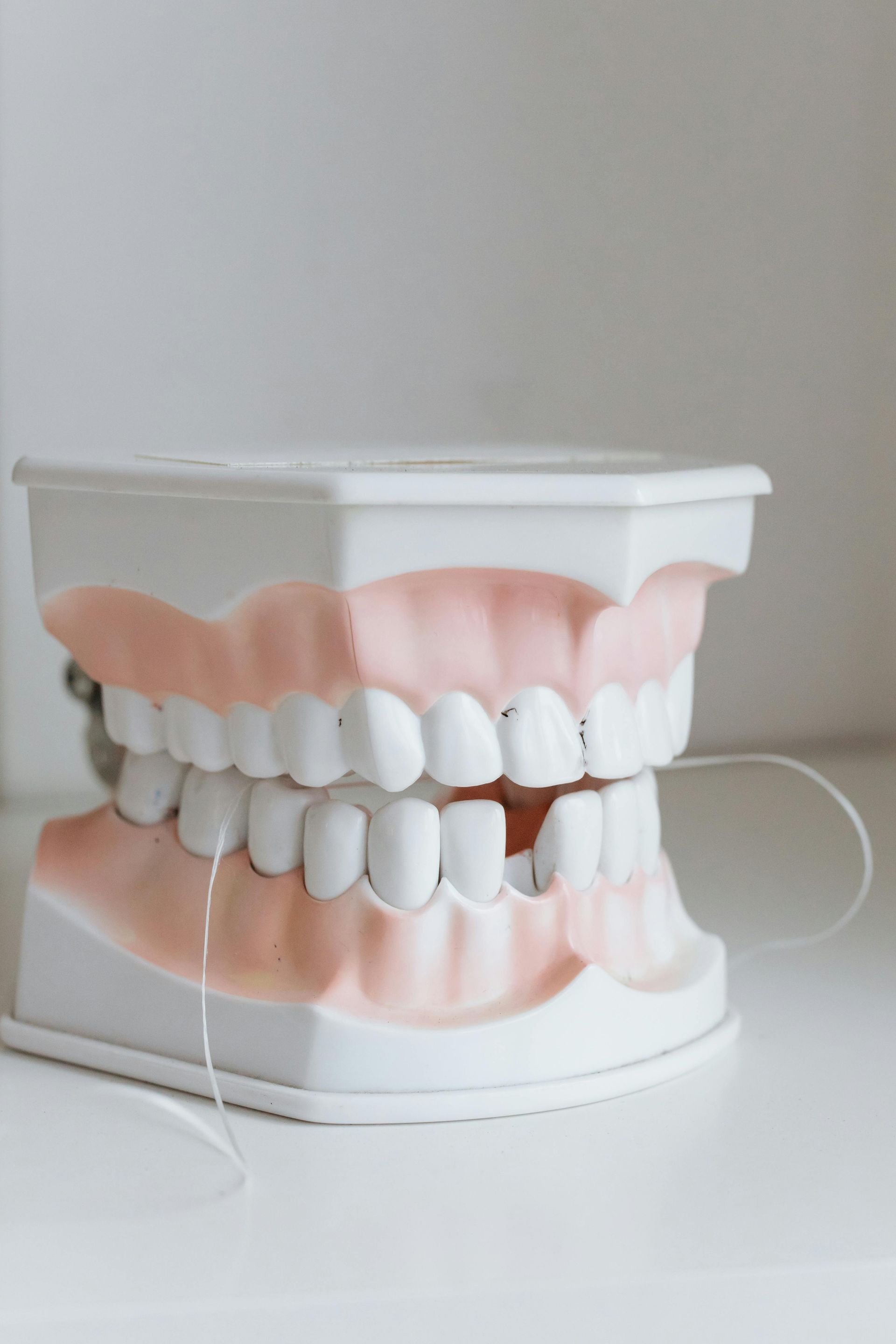 Modelo dental con dientes blancos, encías rosadas y aparatos de ortodoncia transparentes sobre una base blanca.