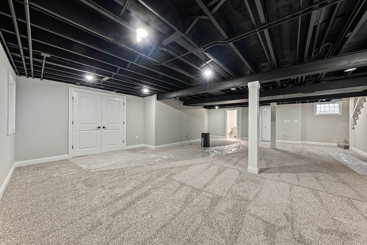 An empty basement with a carpeted floor and a black ceiling.