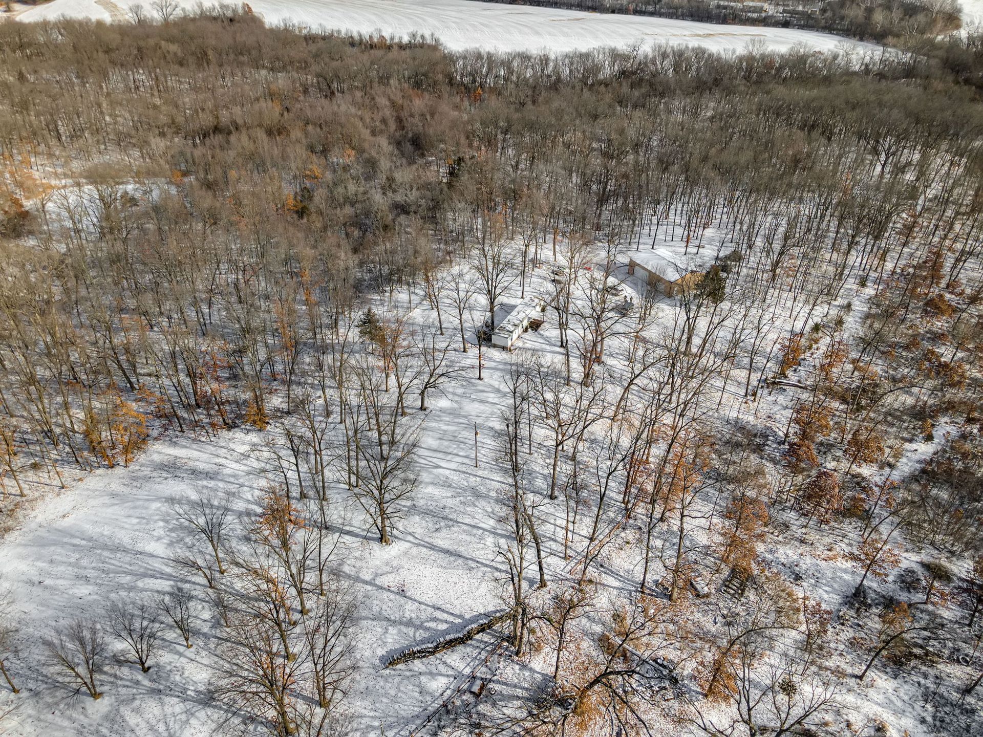 Snow-dusted marshland with sparse brown shrubs and patches of ice under a gray sky