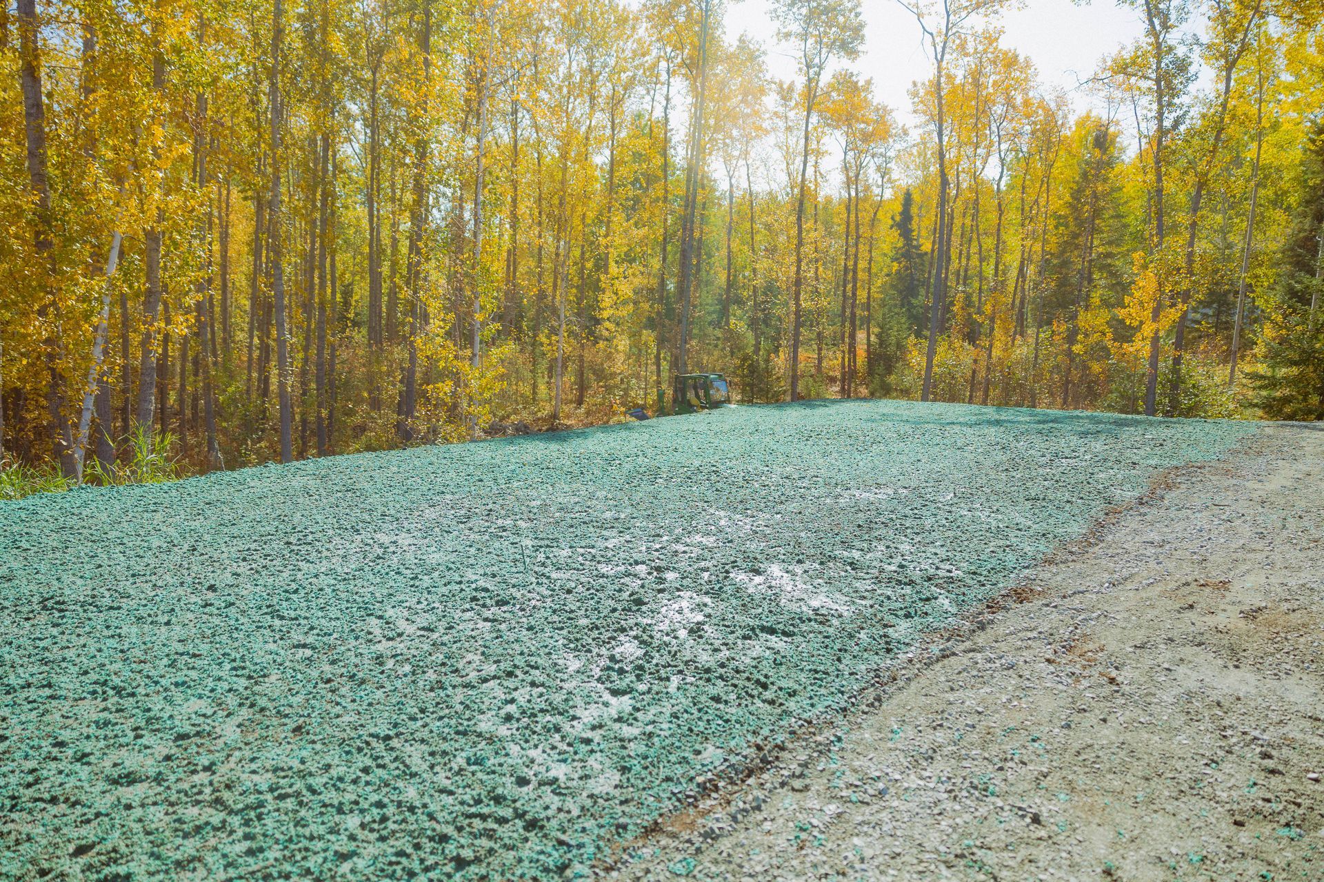 Un chemin de terre traversant un champ avec des arbres en arrière-plan.