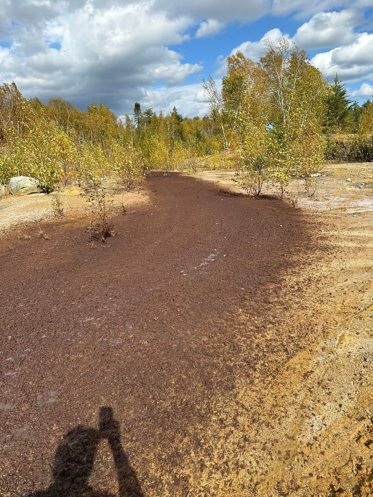Chemin de terre traversant une zone sablonneuse et ensoleillée, des arbres aux feuilles jaunissantes et un ciel partiellement nuageux.