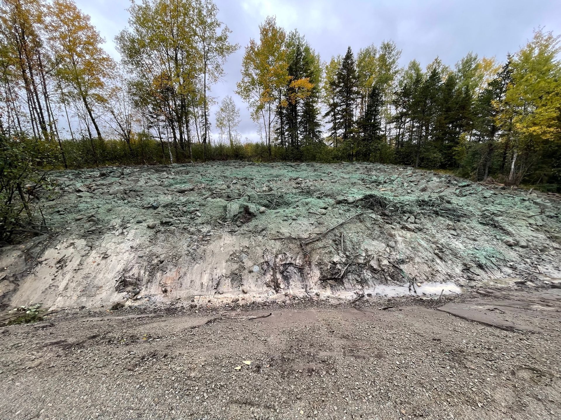 Un monticule de terre et de débris, recouvert de matière verte, devant une rangée d'arbres.
