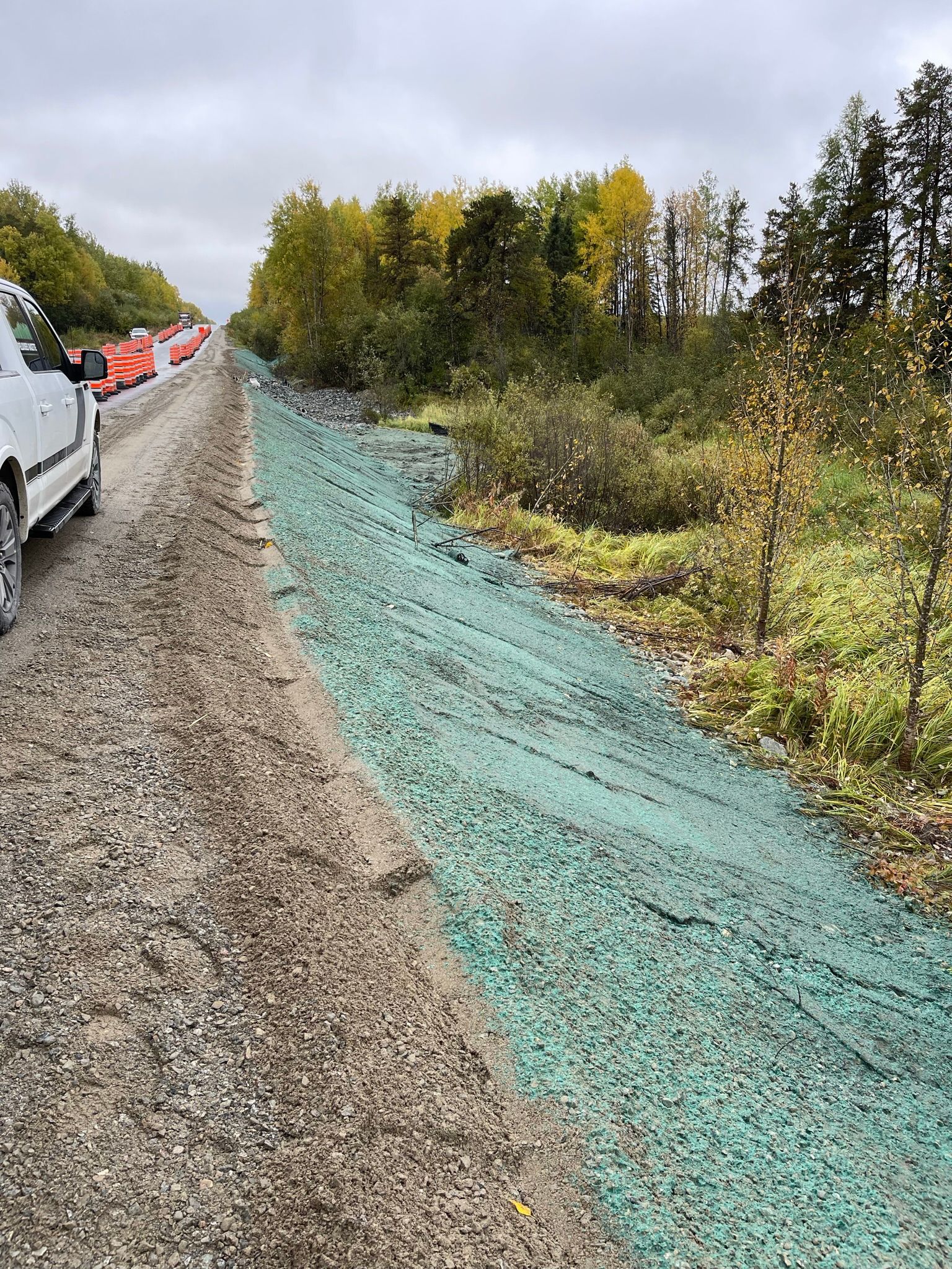 Un bas-côté de route en gravier longe un talus herbeux recouvert d'un ensemencement hydraulique vert, avec des arbres en arrière-plan.