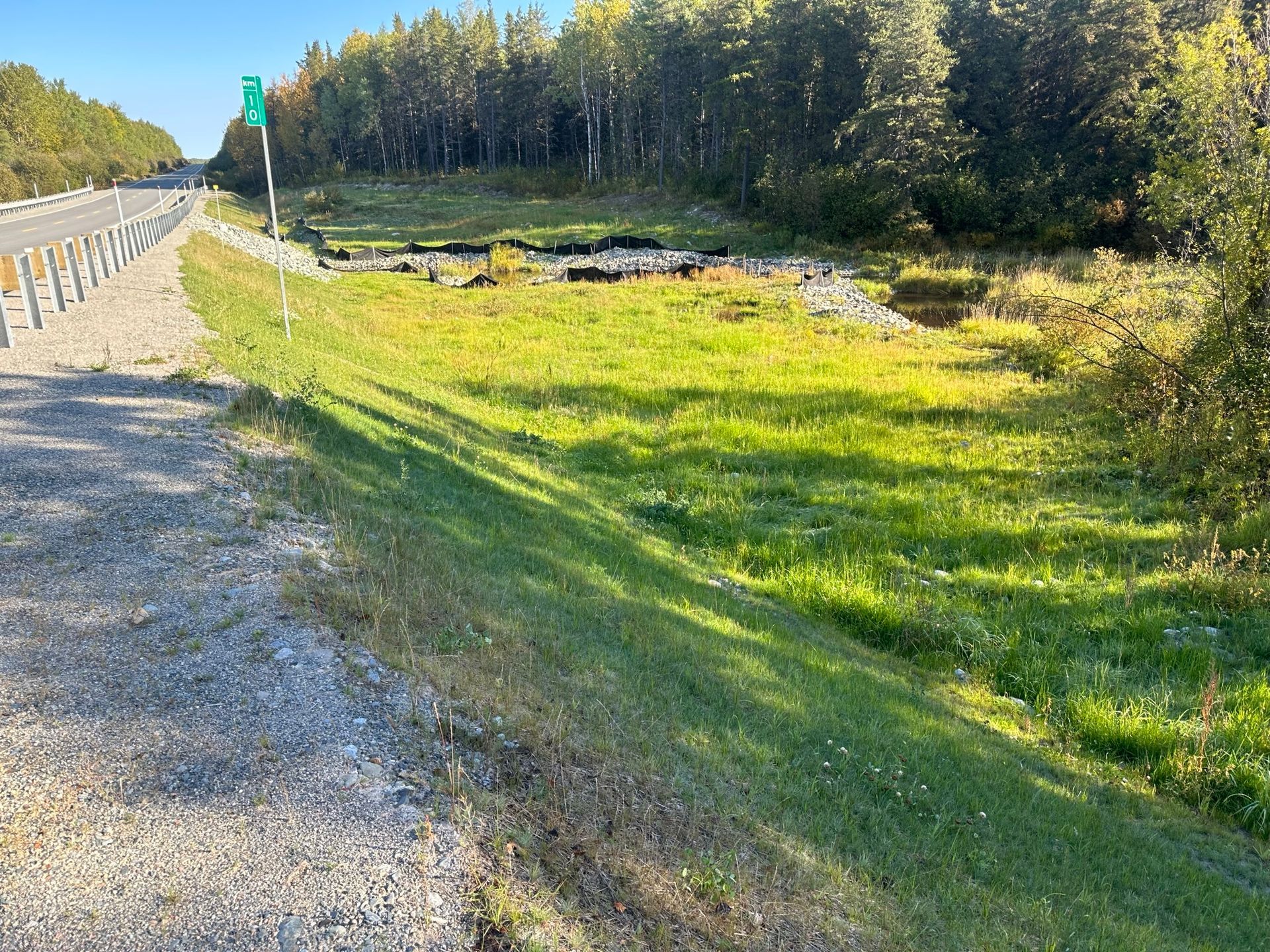Fossé herbeux en bord de route, près d'une autoroute, avec des arbres et un panneau vert en arrière-plan.