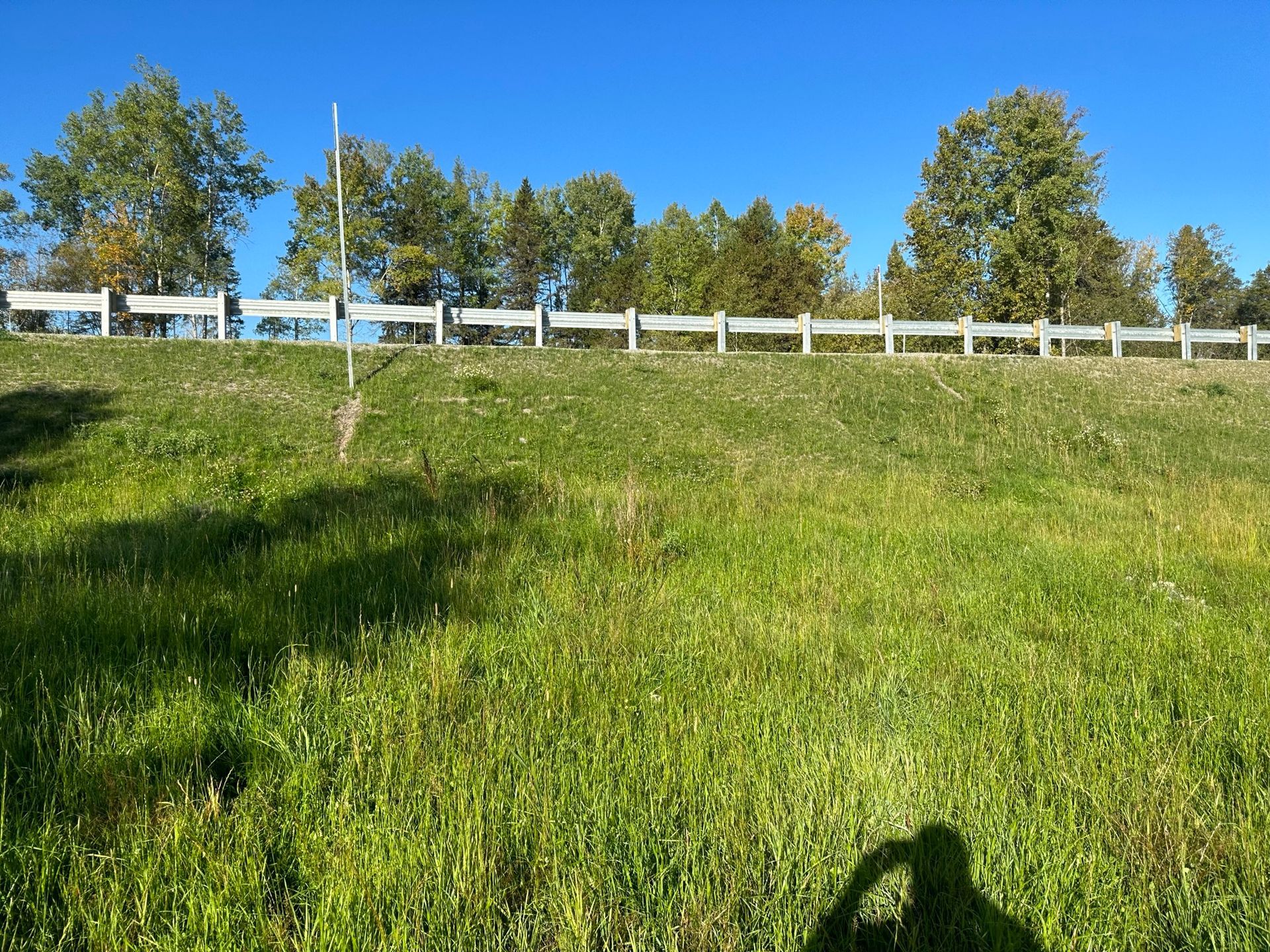 Colline herbeuse et verdoyante avec garde-fou sous un ciel bleu ; arbres en arrière-plan.