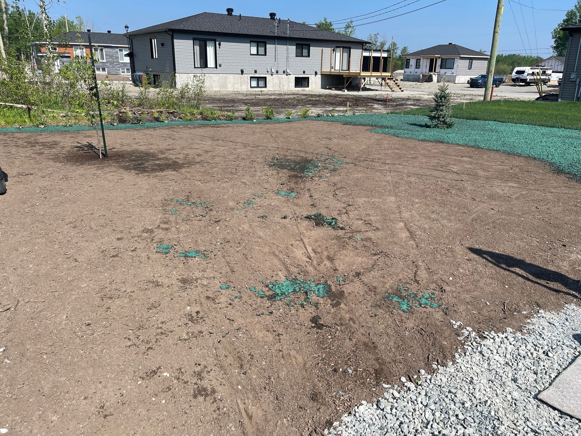 Une cour avec une maison en arrière-plan et un arbre au milieu.