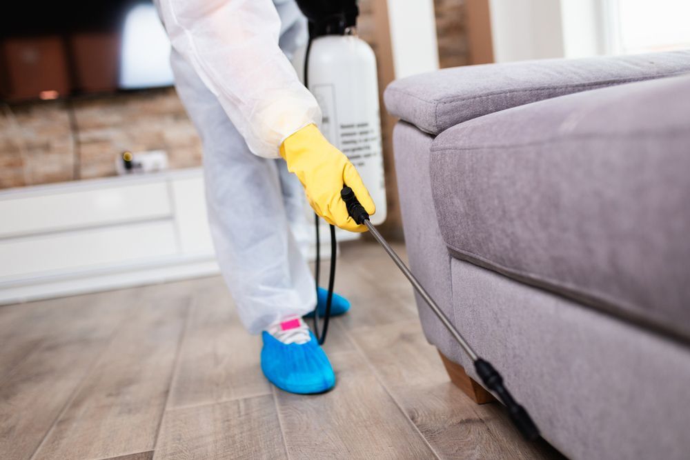 A Person Is Spraying A Couch With A Sprayer — Pest Evict Pest Control in Bowen, QLD