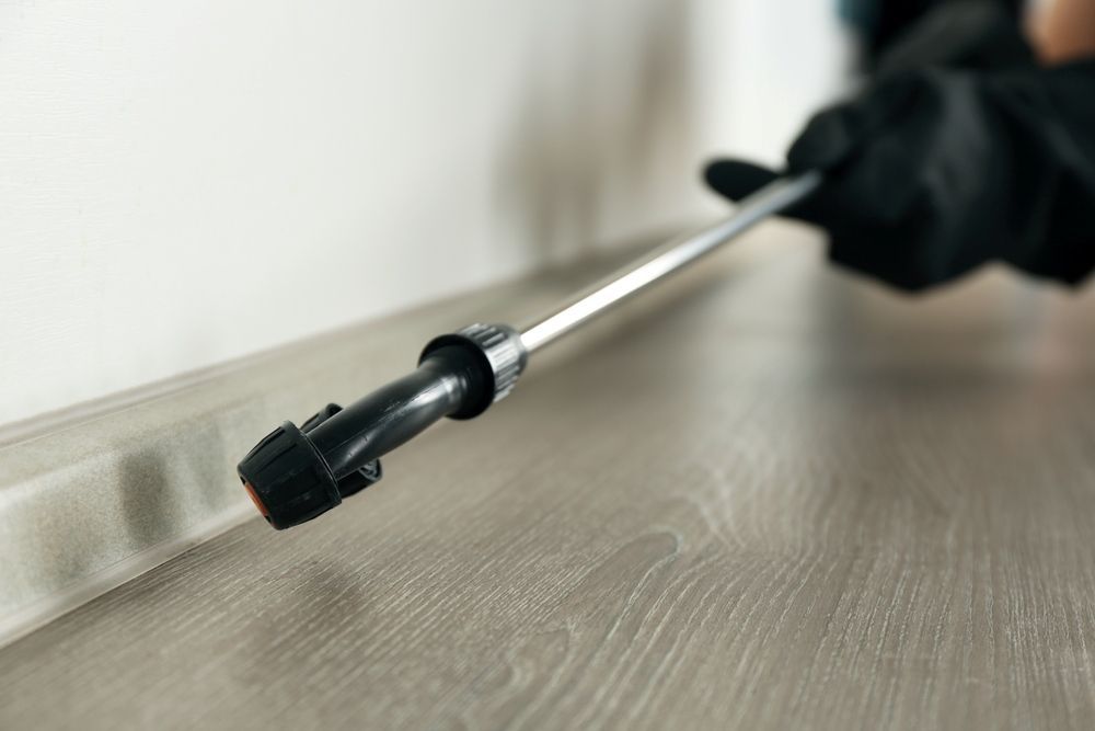 A Person Is Spraying A Pesticide On A Wooden Floor — Pest Evict Pest Control in Ayr, QLD