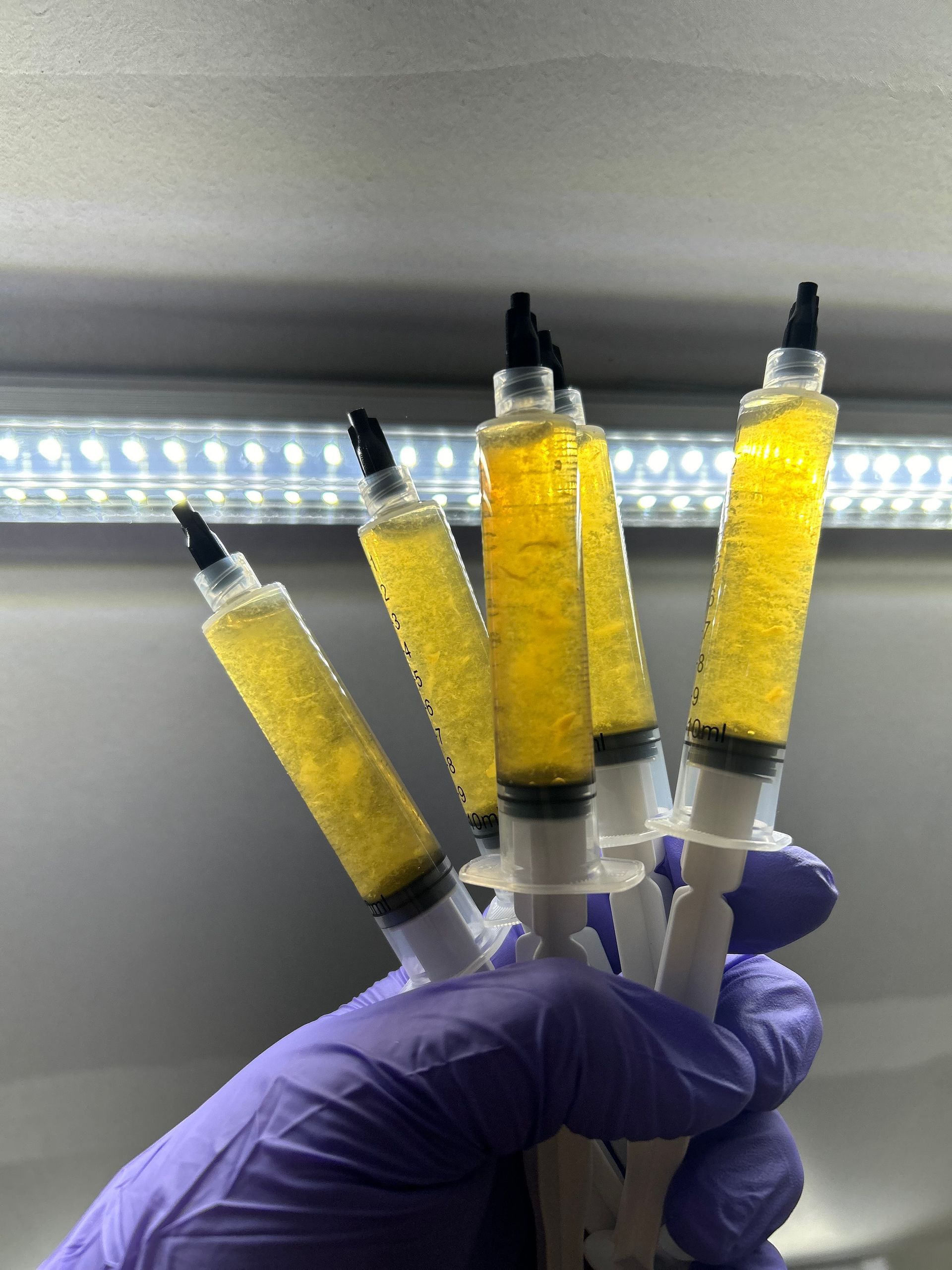 10ML Liquid Culture Syringe
