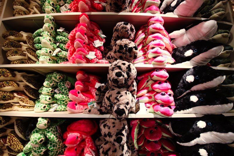 Shelves stocked with colorful plush toys: green turtles, pink octopuses, Dalmatian dogs, orcas.