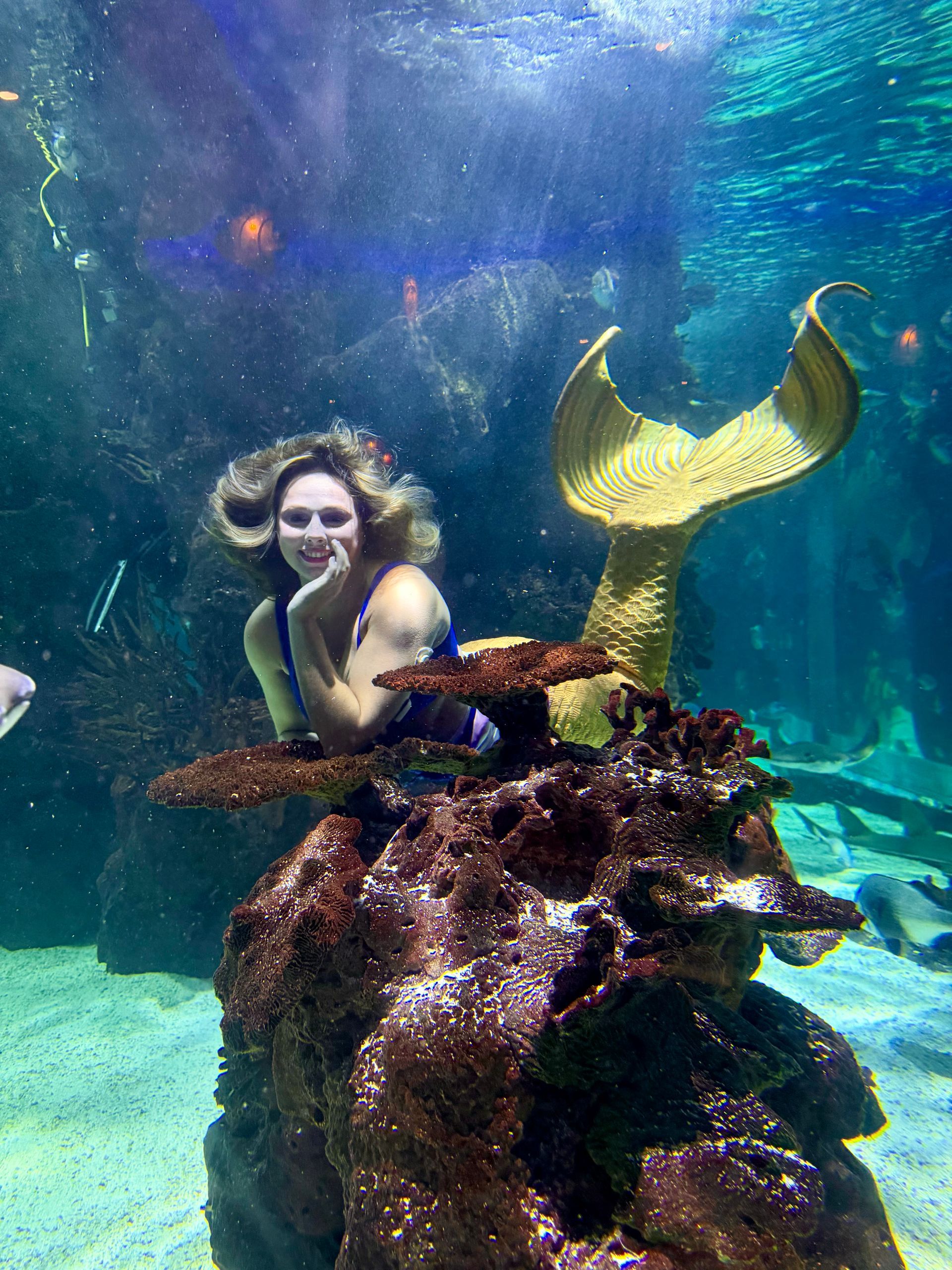 Woman smiling underwater, wearing a mermaid tail and holding a silver item, surrounded by fish.