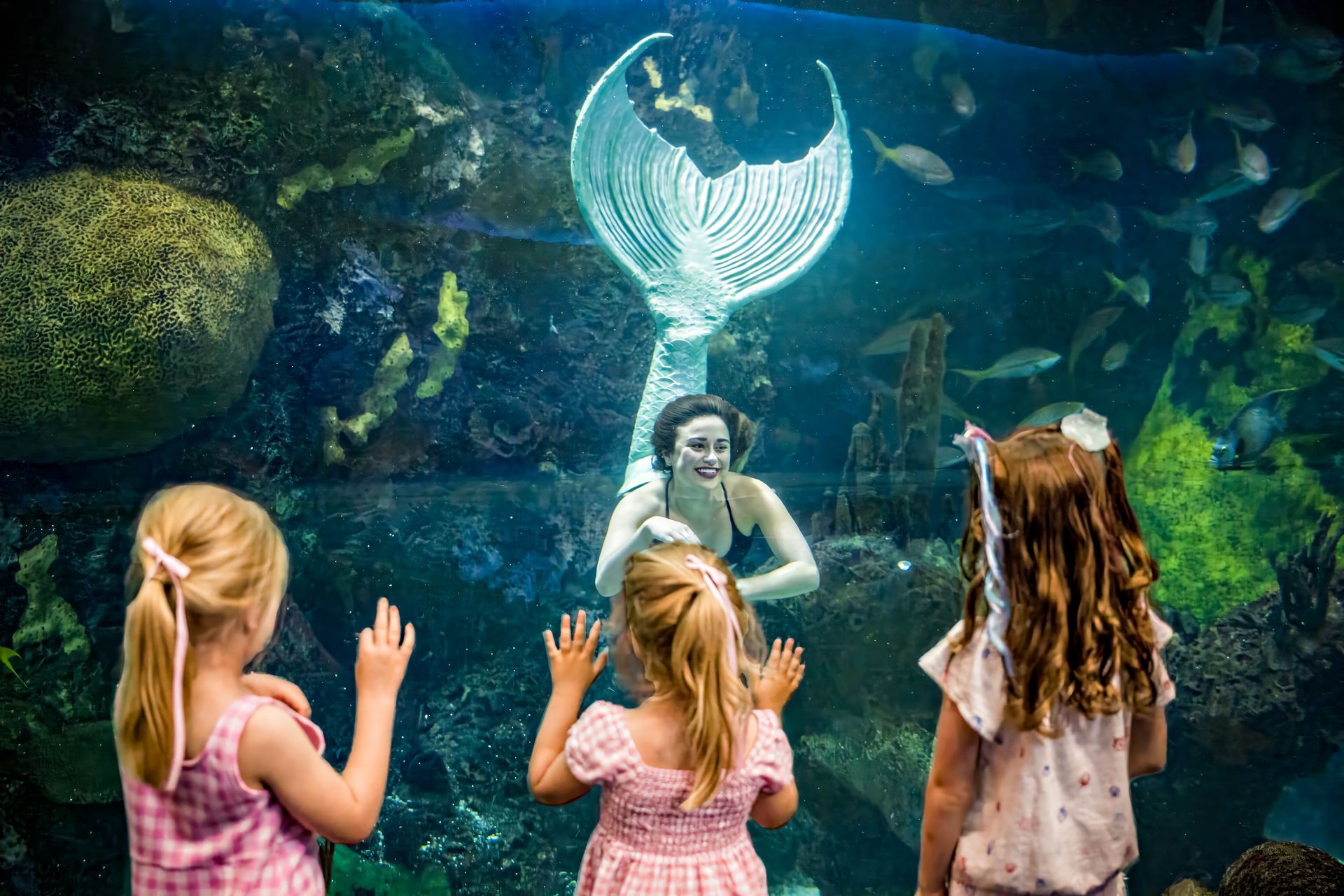 Three mermaids are swimming underwater with their tails visible