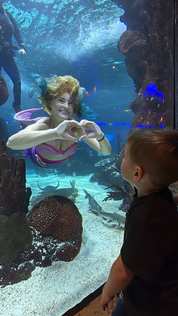 Mermaid in tank makes heart shape to child looking on at an aquarium.
