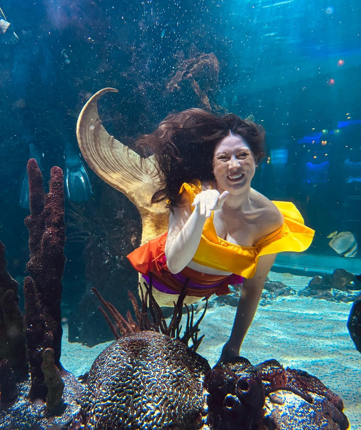Mermaid in a yellow top and orange skirt, smiling underwater in a tank, with coral and fish visible.