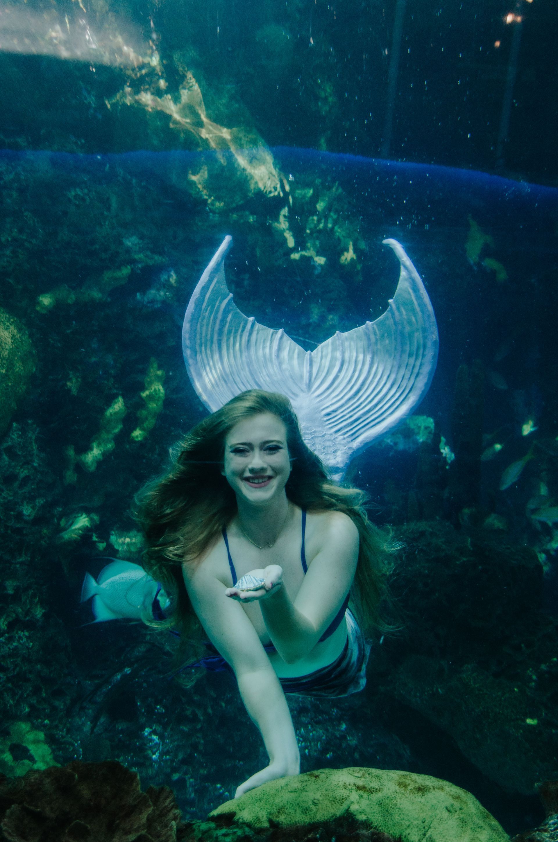 Mermaid swims underwater, smiling and holding something, with a shimmering tail in a blue aquarium.