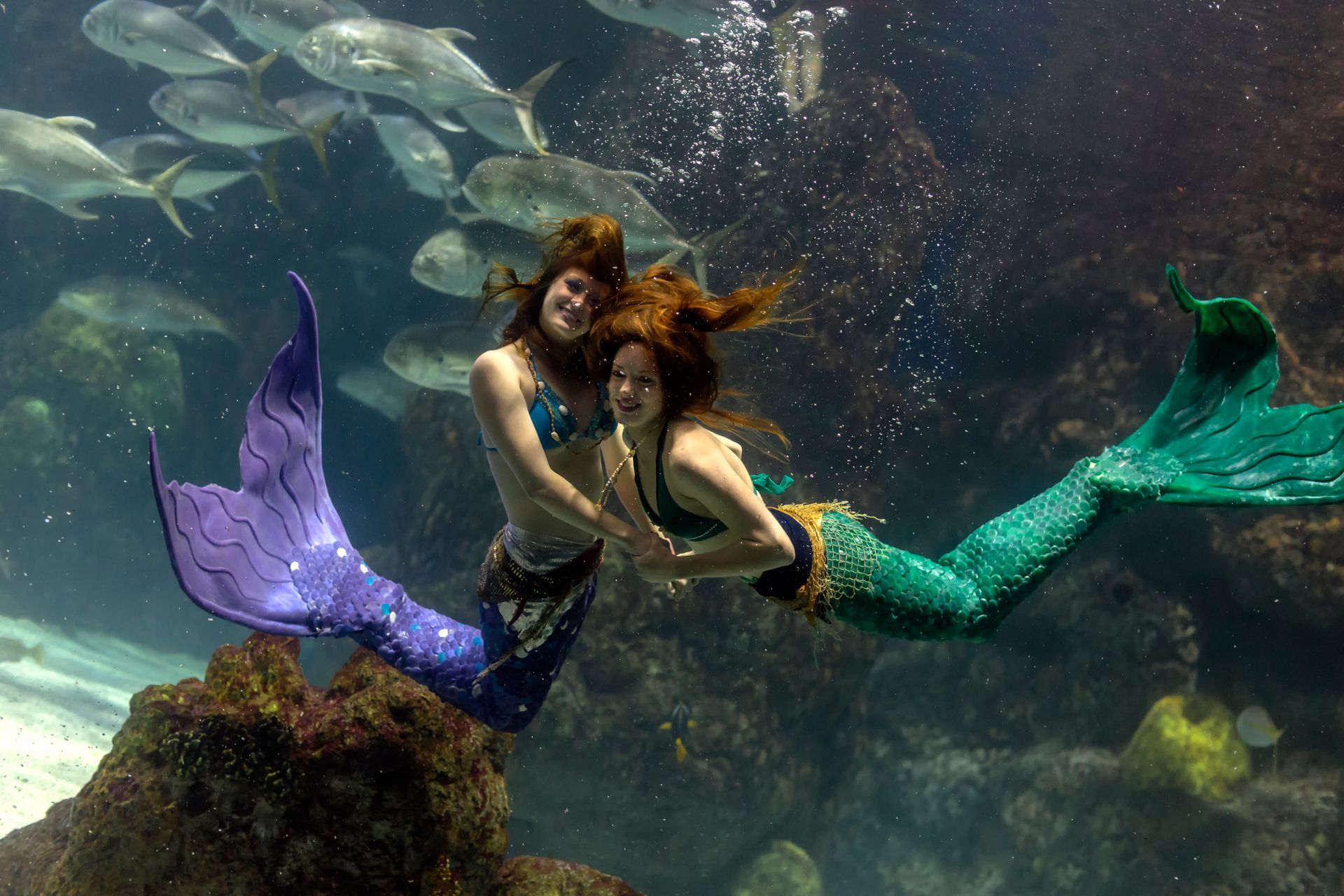 Two people in mermaid tails underwater, smiling. One has a purple tail, other green, near fish.