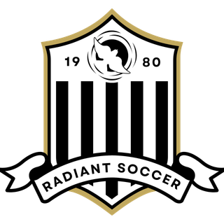 Logo for league