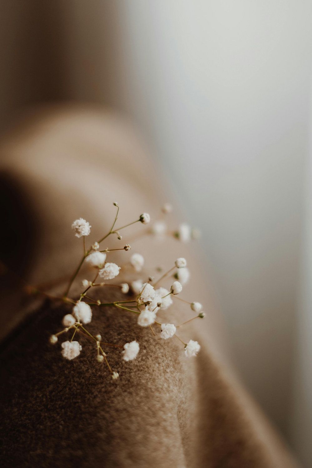 Delicate white baby's breath flowers resting on soft brown fabric with a blurred neutral background