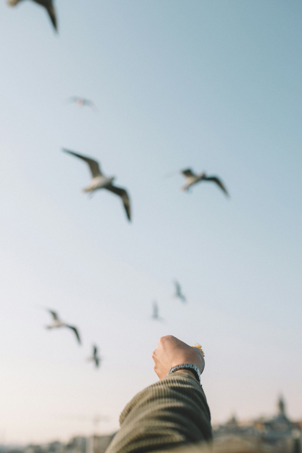 Hand reaching toward seagulls flying over a pale sky at the beach