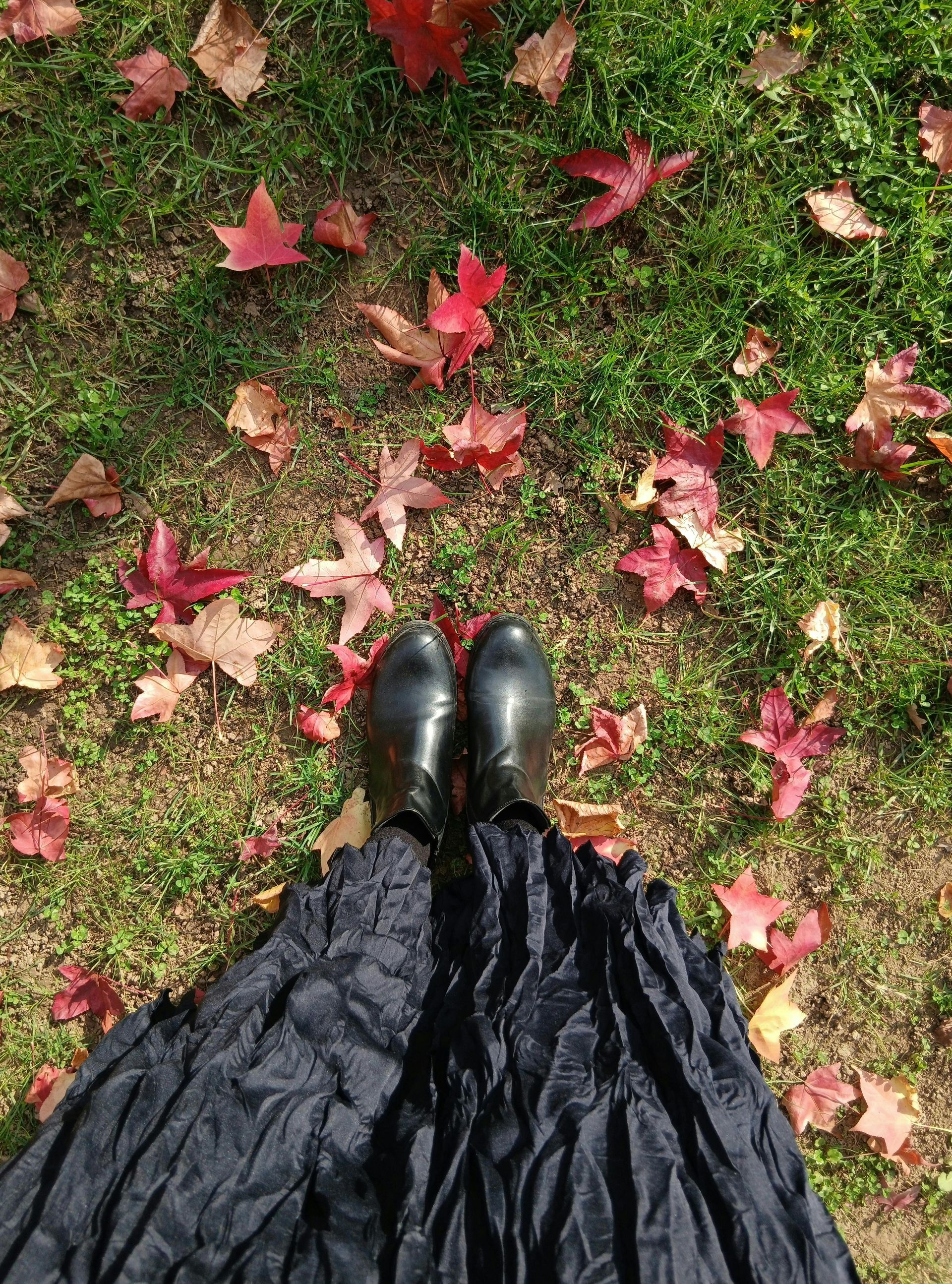 Black boots and skirt standing on grass with scattered red and brown leaves.