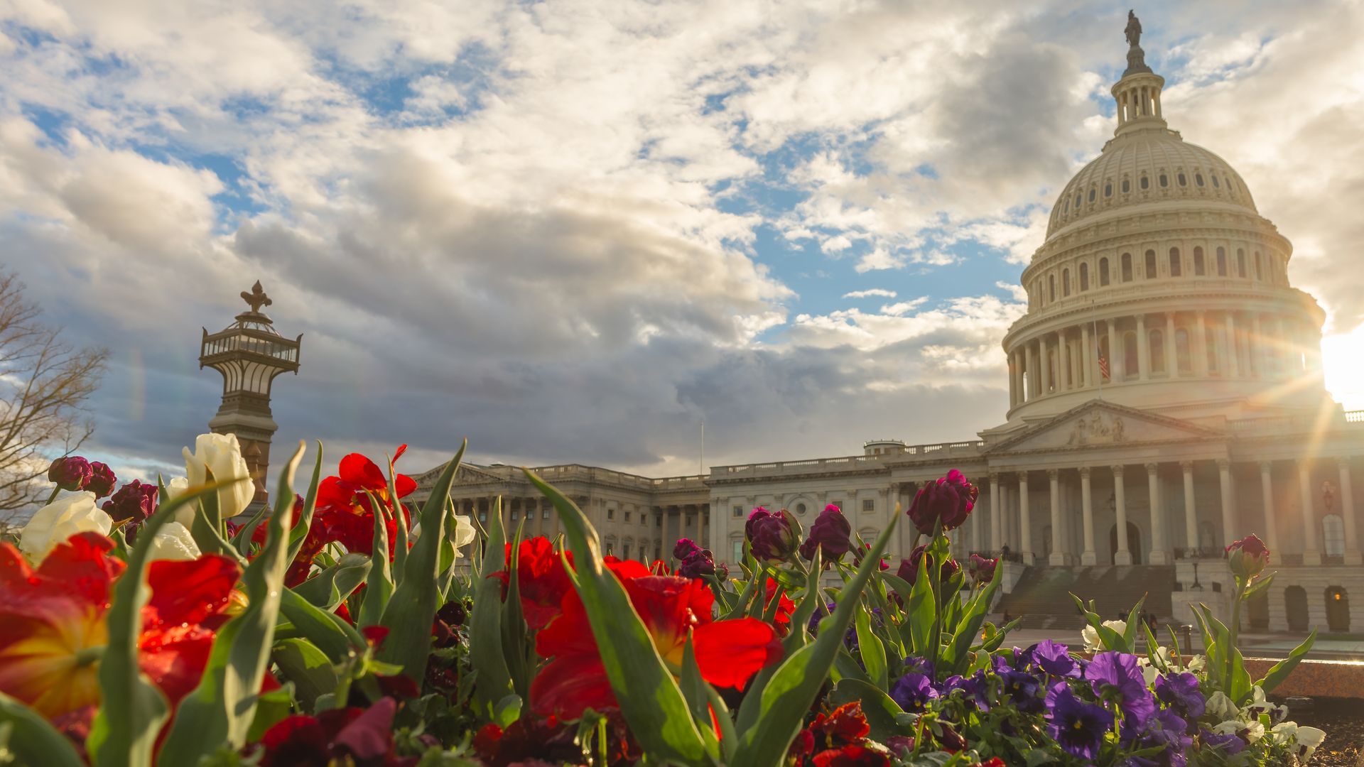 Hindu immigration to DC