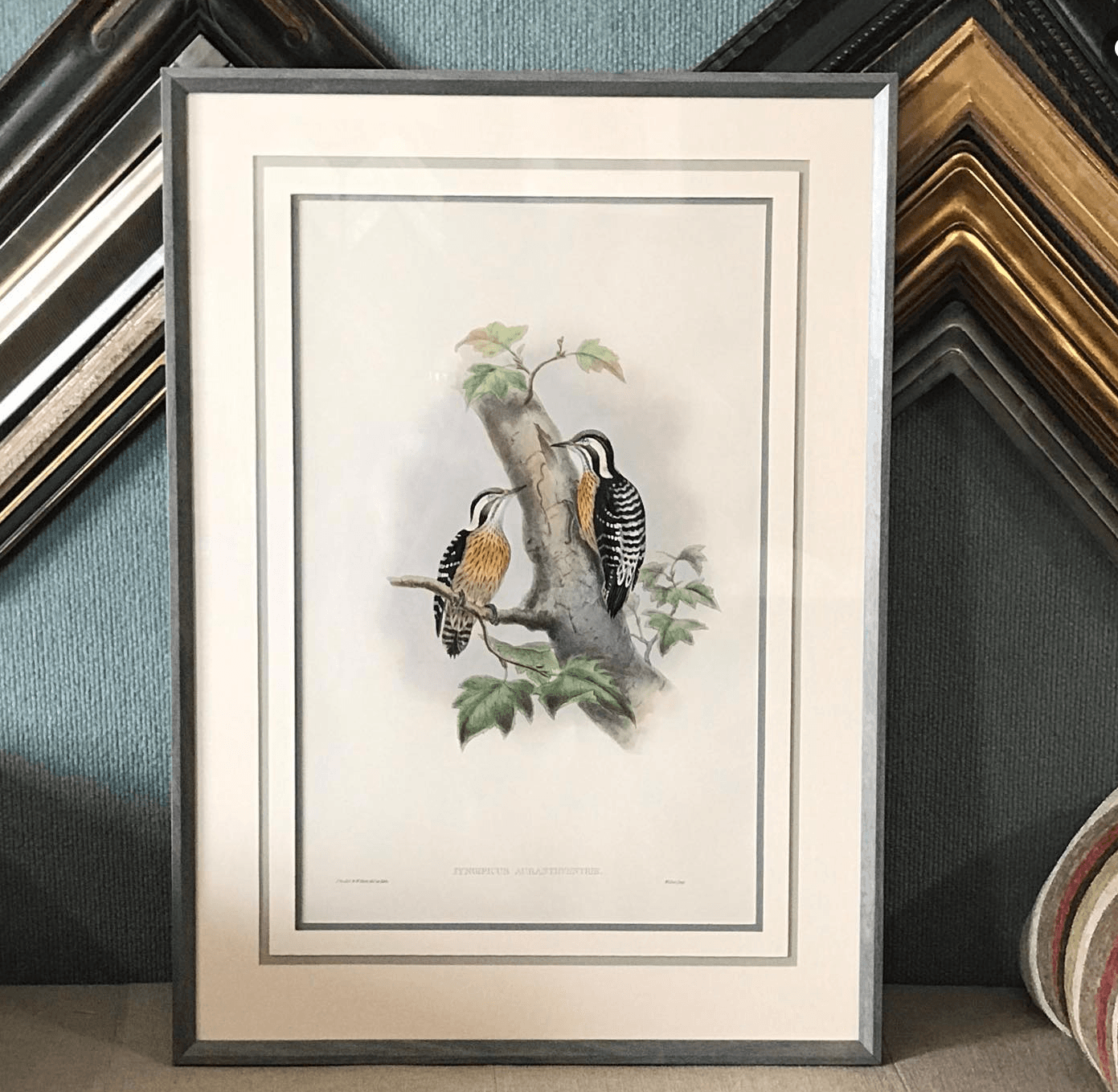 local framers in NWA