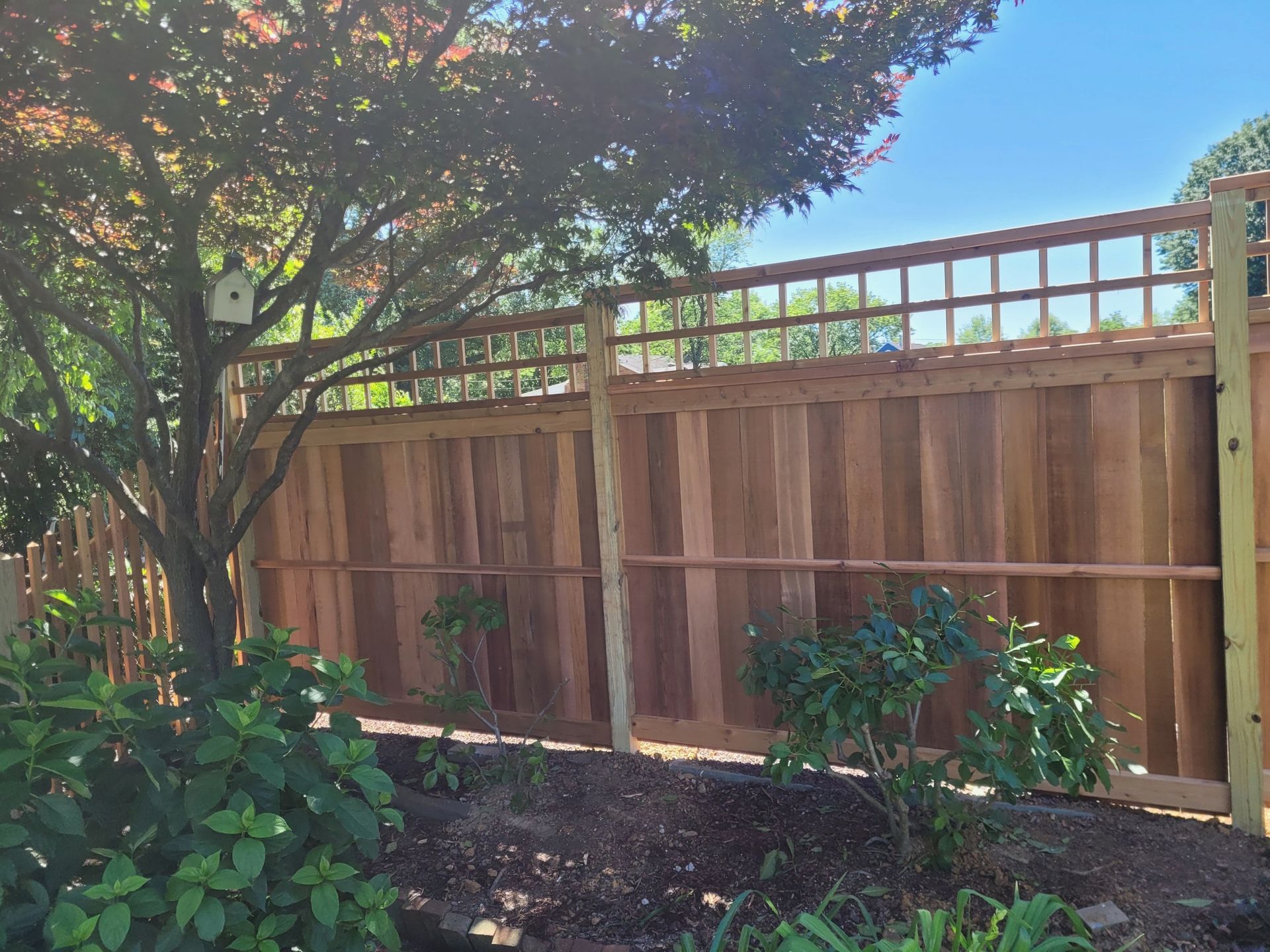 Cedar Fence in Alexandria, VA