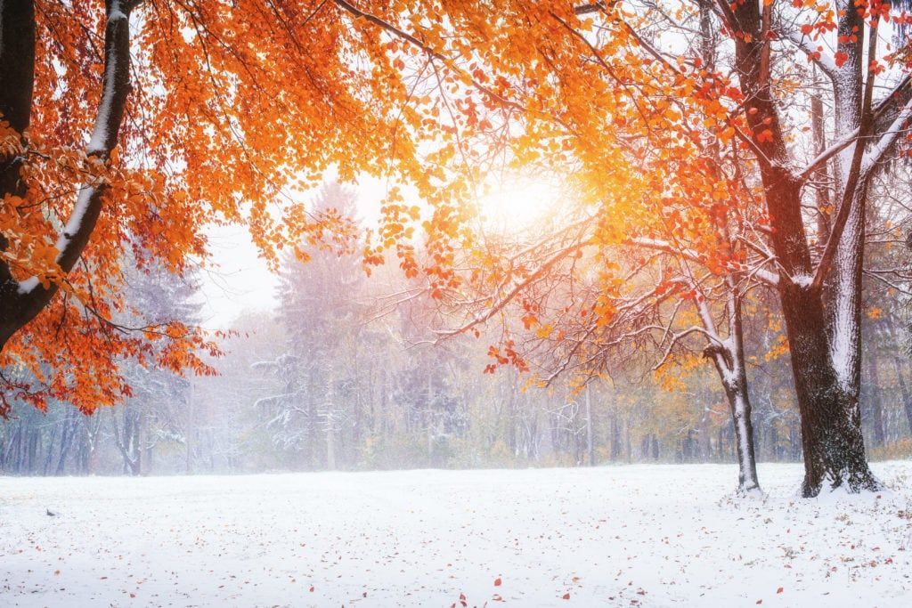 Easy Rent All - Preparing for fall and winter