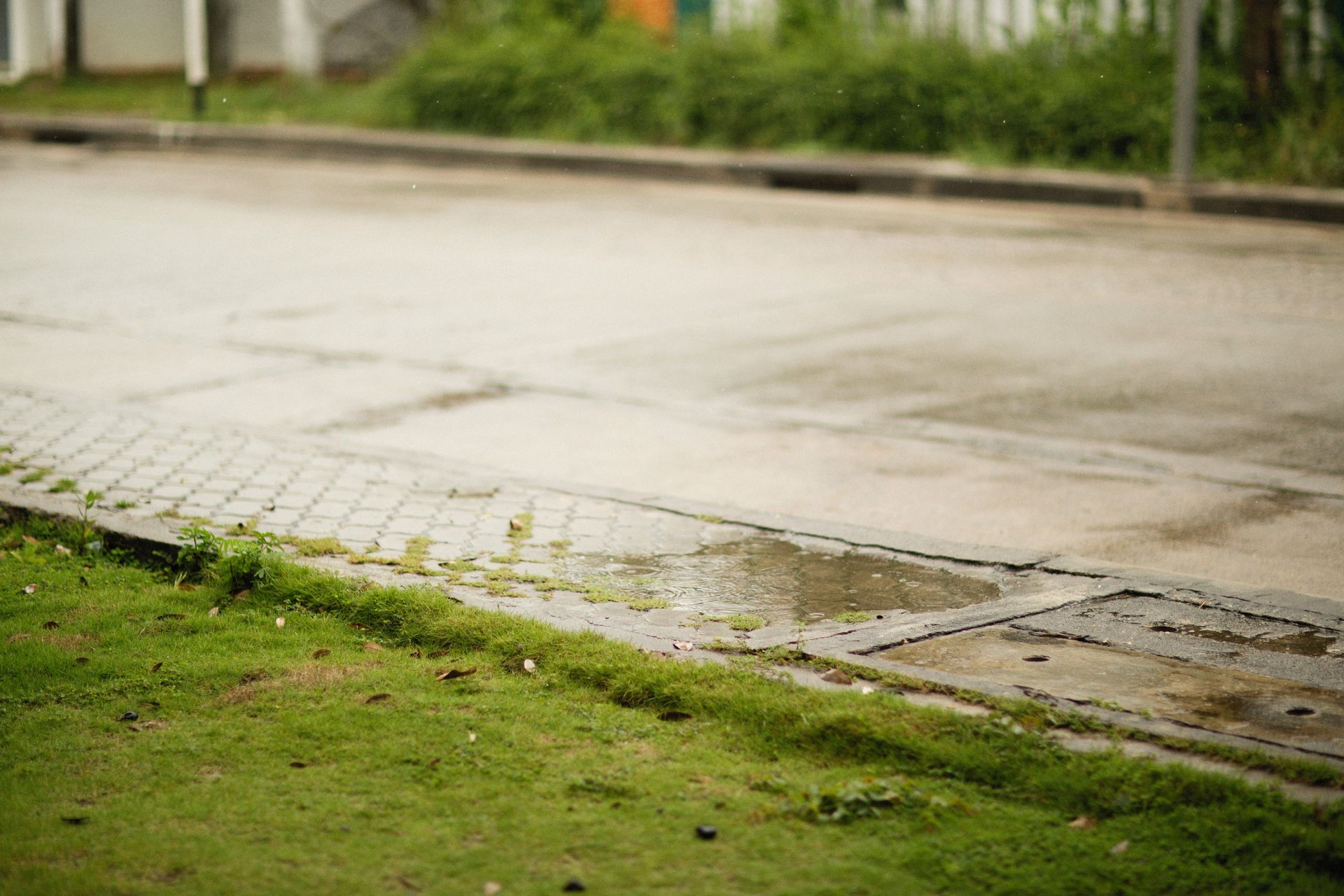 Wet roadside with a paved sidewalk and green grass after rain