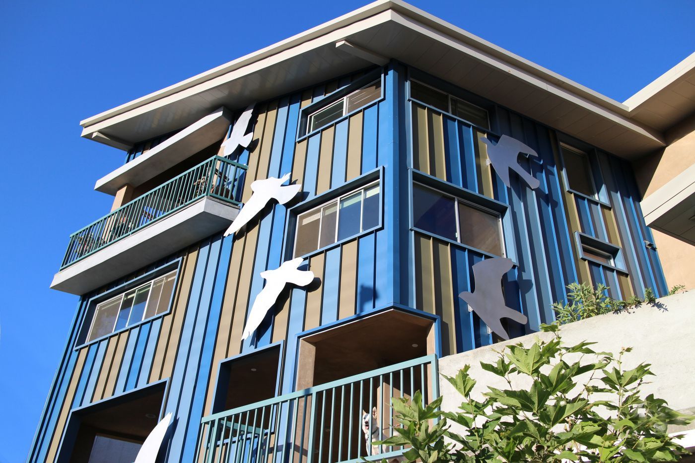 Flock Exterior