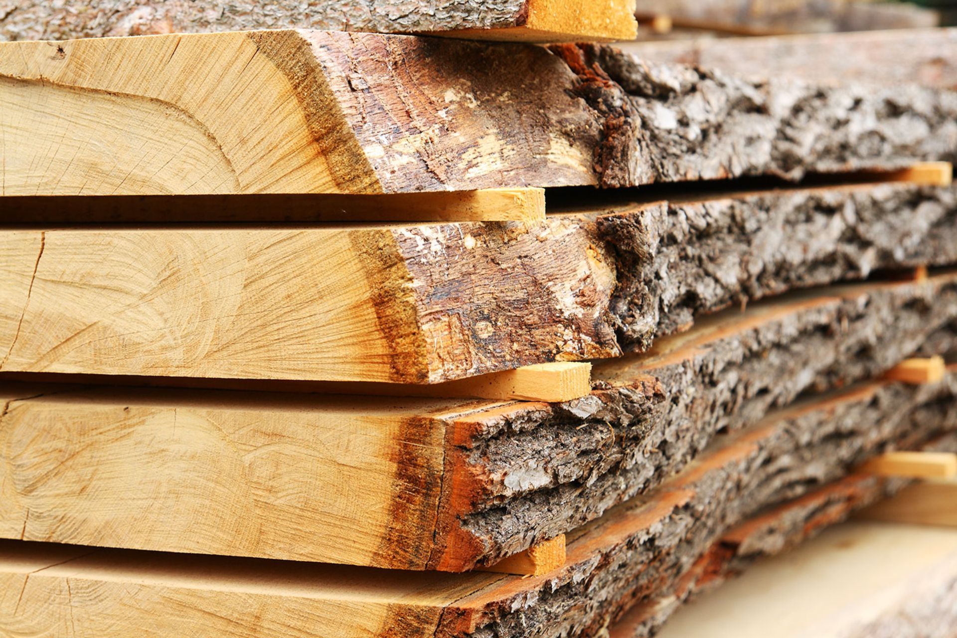 Pila di assi di legno dai bordi grezzi, probabilmente legname, con corteccia visibile su alcuni bordi.
