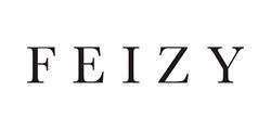 Feizy logo