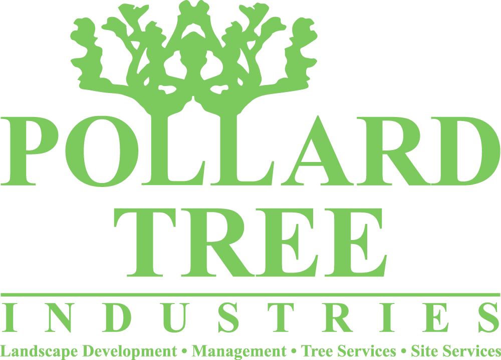 Green logo for 