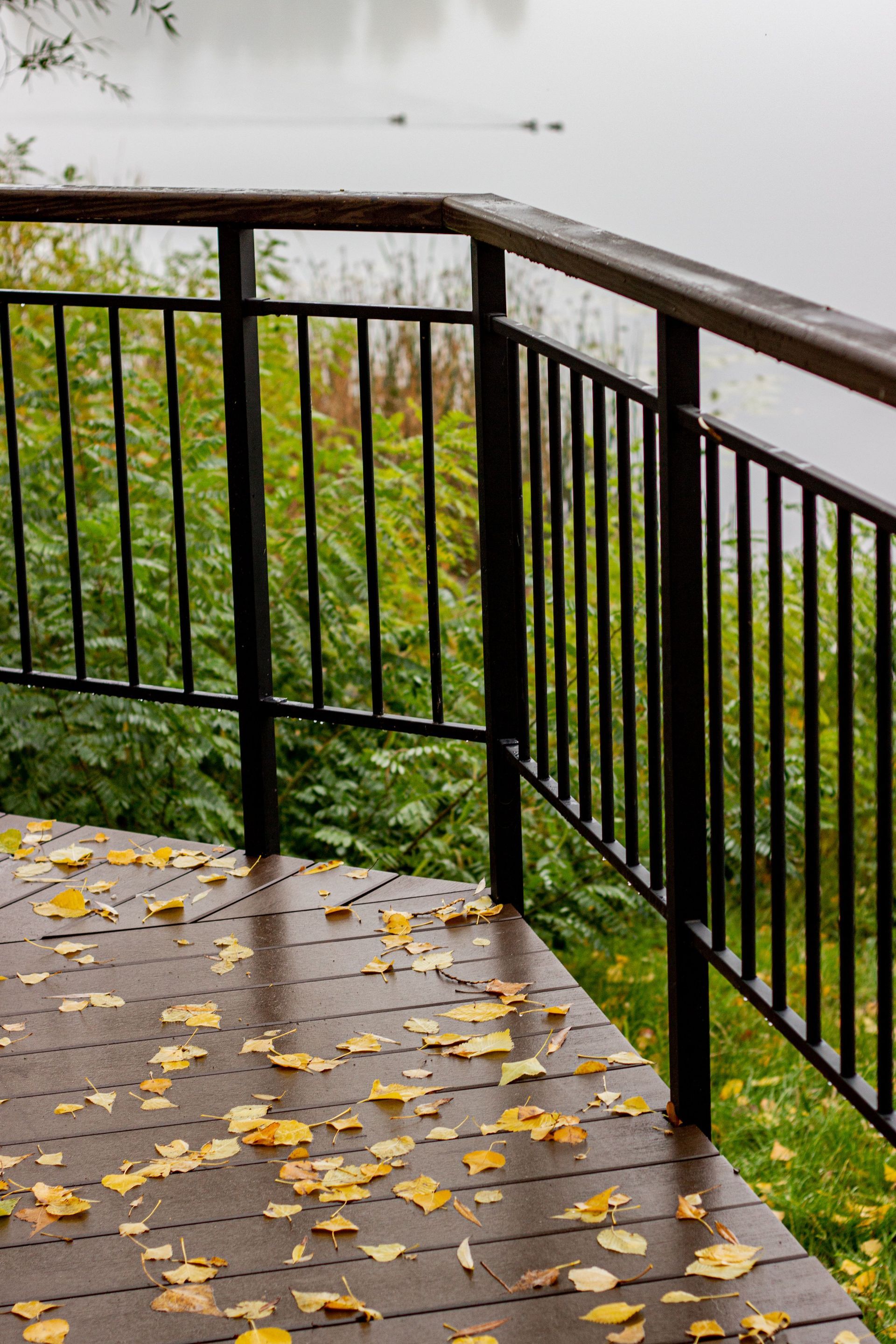 Rainy balcony with black metal railing, wet concrete floor, and yellow leaves overlooking greenery.
