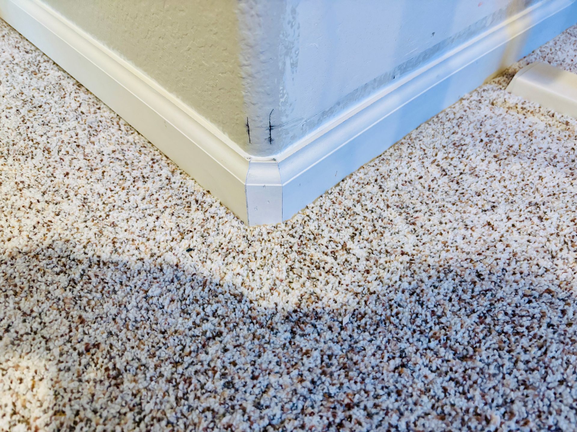 Corner of a white painted wall with molding above speckled carpet flooring.