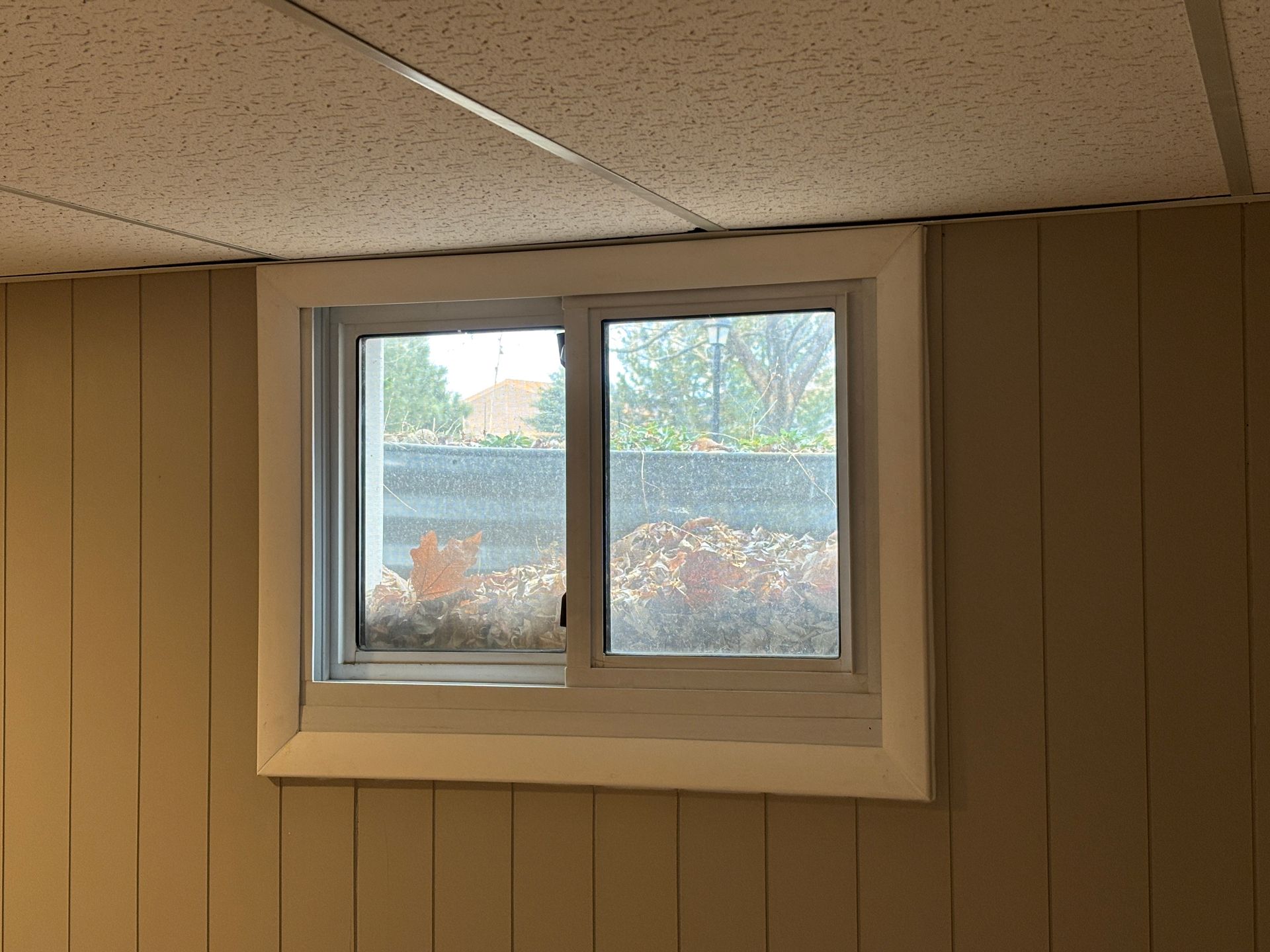 Window in room with beige paneling and a drop ceiling. The window shows outdoor foliage.
