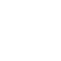 Icona - Professionalità