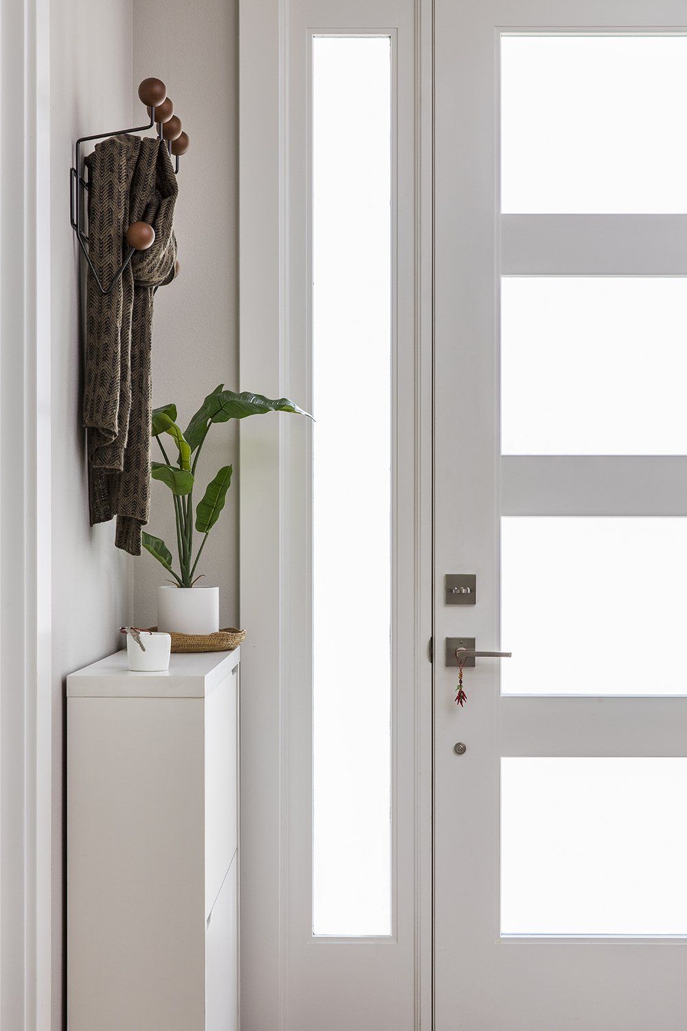Modern white entryway with a front door, narrow glass panel, and a small cabinet with plant decor