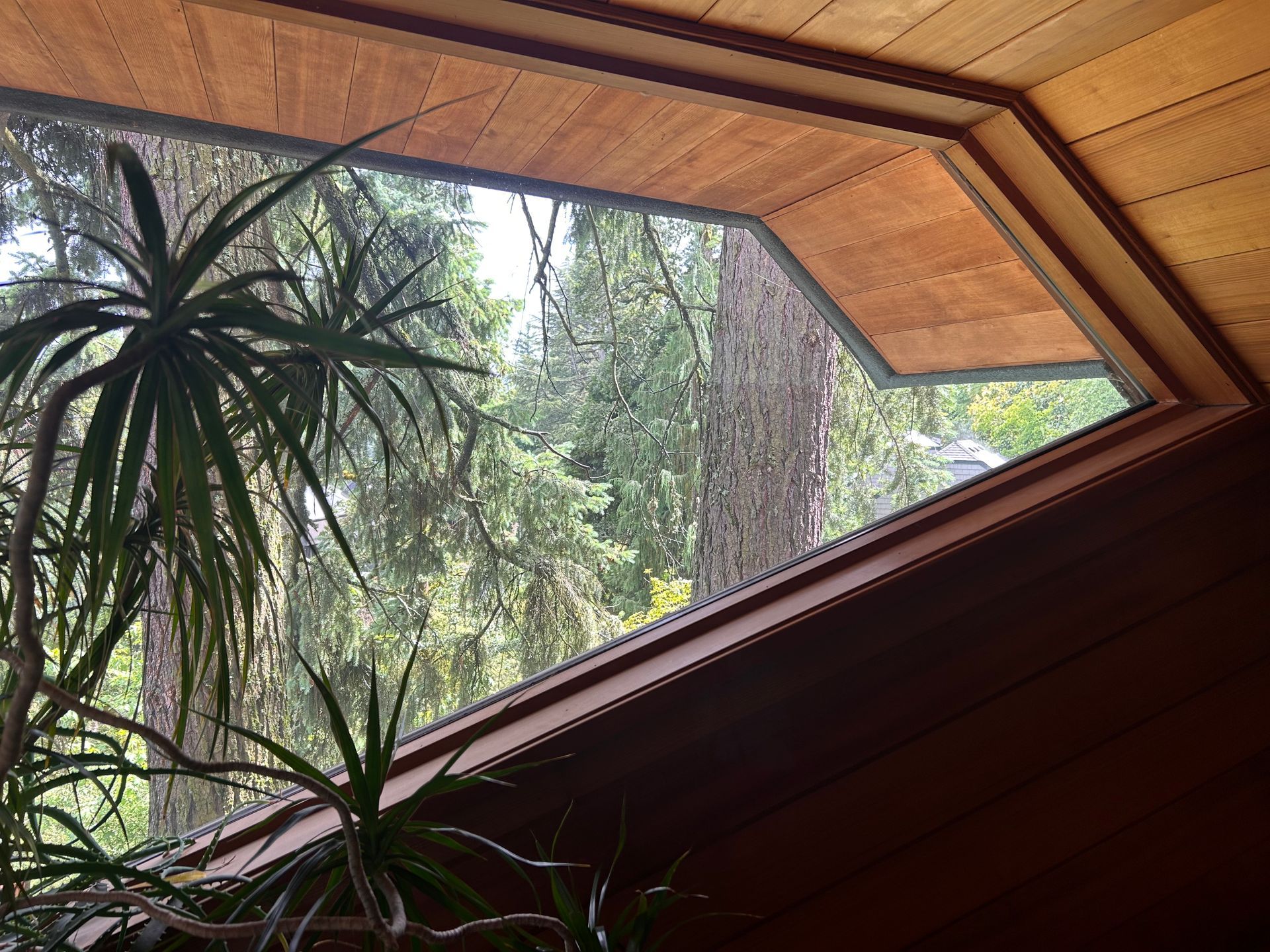 Wood-framed window with a view of trees and a wooden ceiling inside a cozy room