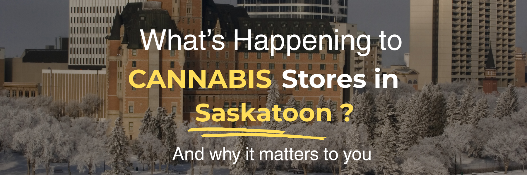 Text overlay on a winter street scene: “What’s Happening to CANNABIS Stores in Saskatoo? And why it matters to you”