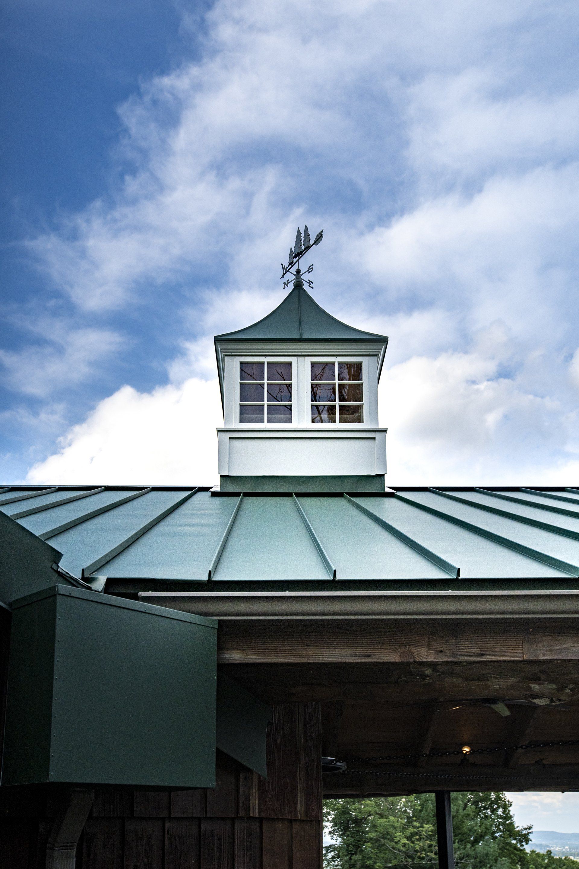 A green roof with a weather vane on top of it