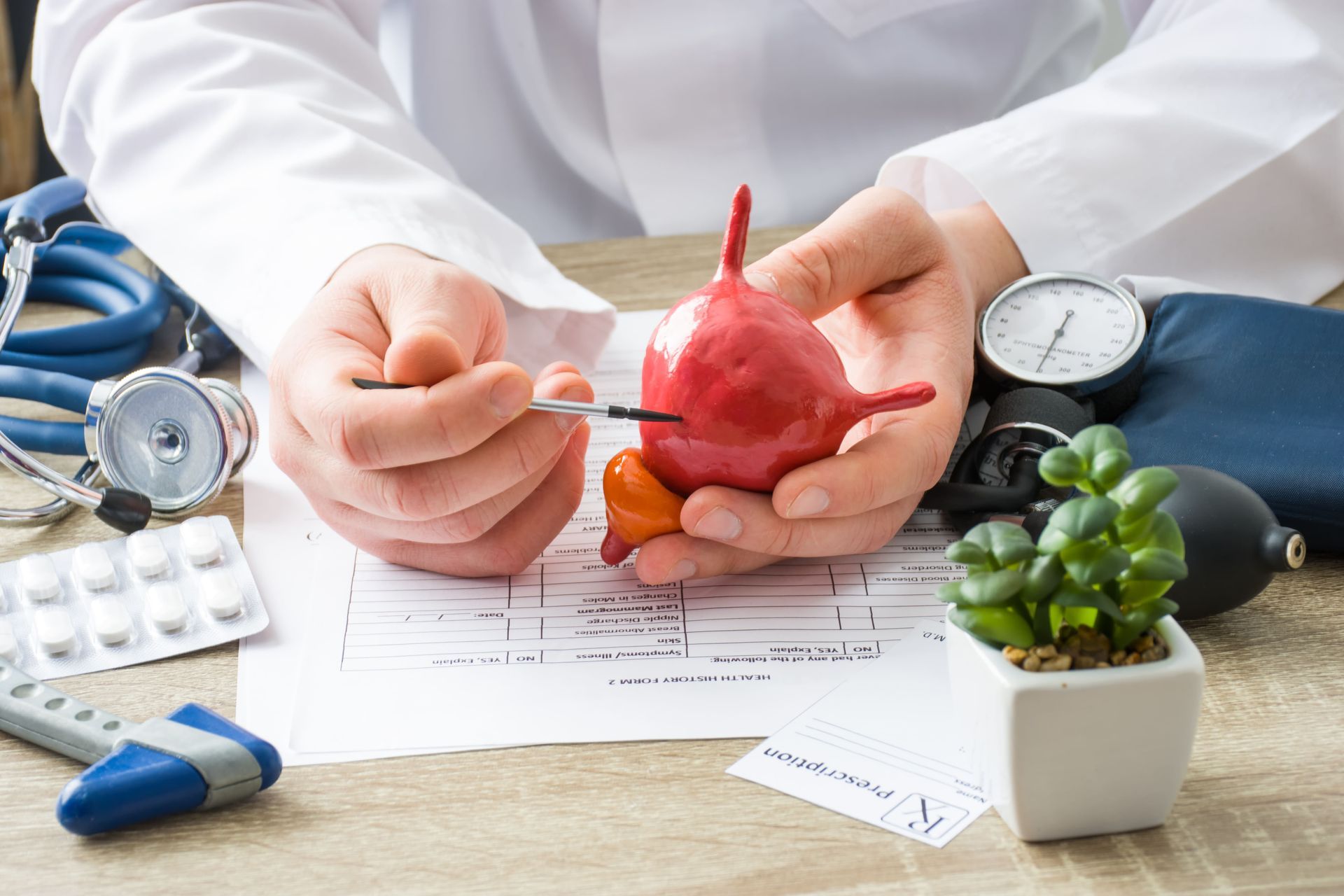 Médico segurando um modelo de bexiga vermelha com instrumentos médicos e documentos sobre uma mesa.