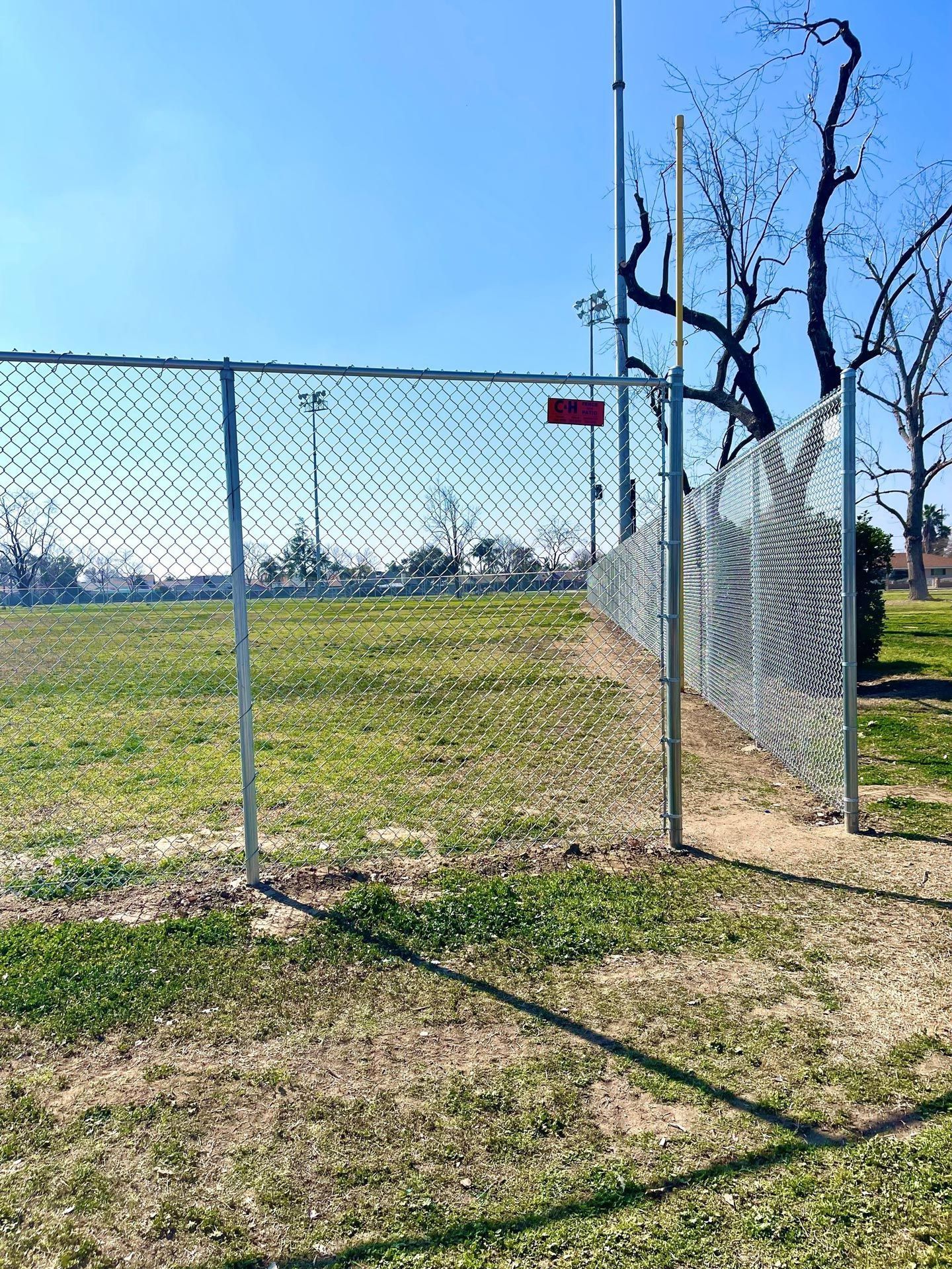 Chain-link gate opening onto a sunny grassy field with a leafless tree and blue sky