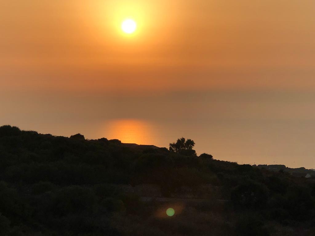 Il sole sta tramontando su una collina con gli alberi in primo piano