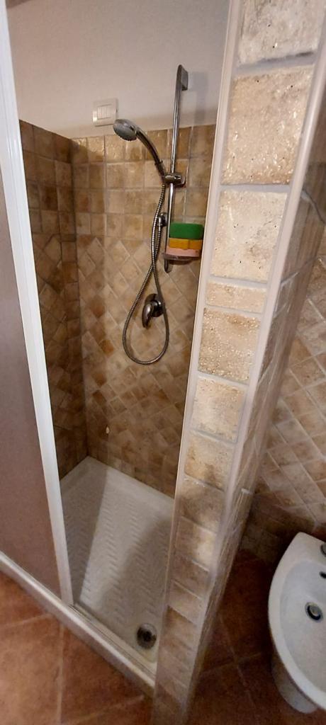 Un bagno con doccia e WC.